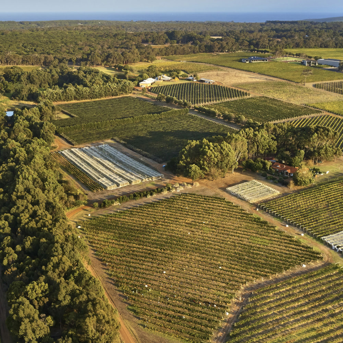 Moss Wood Pinot Noir 2021