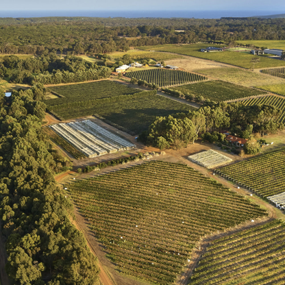Moss Wood Pinot Noir 2021