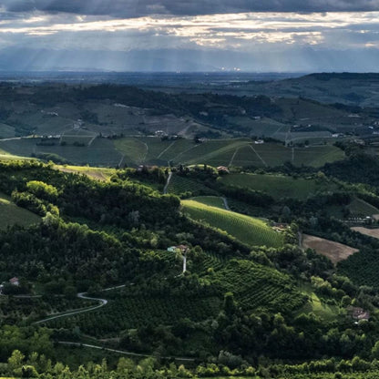 Vietti Barolo Castiglione 2020