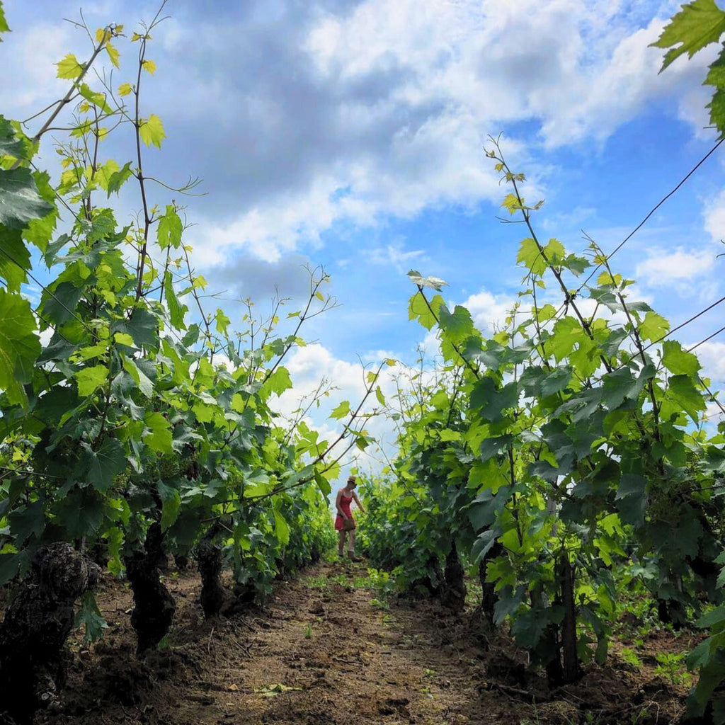 Benjamin Leroux Meursault-Blagny 1er Cru La Pièce Sous Le Bois 2022