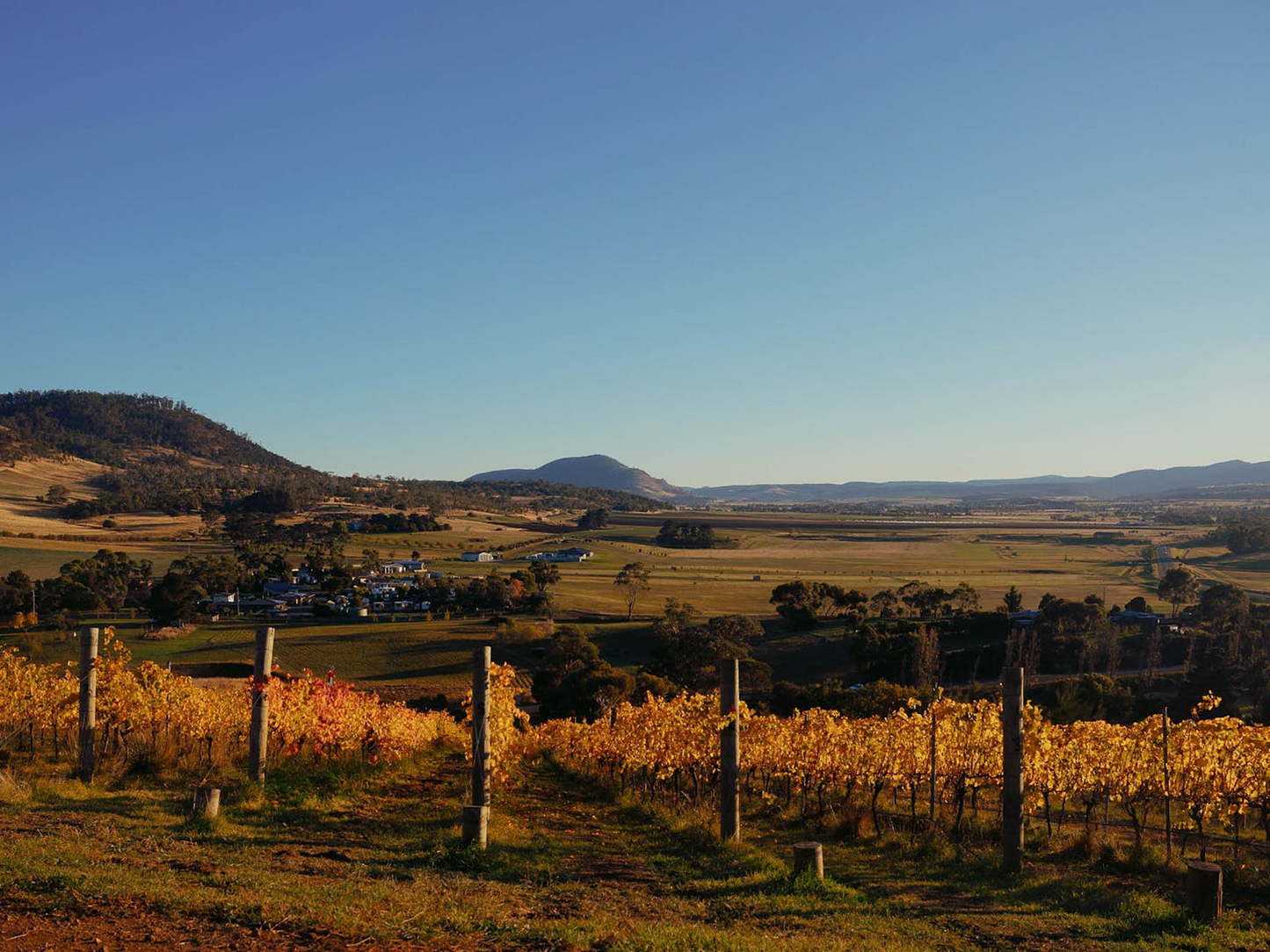 Jasper Hill Emily's Paddock Shiraz Cabernet Franc 2022