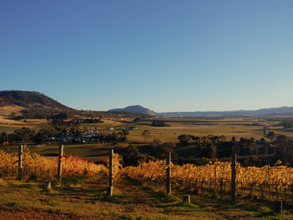 Jasper Hill Emily's Paddock Shiraz Cabernet Franc 2022