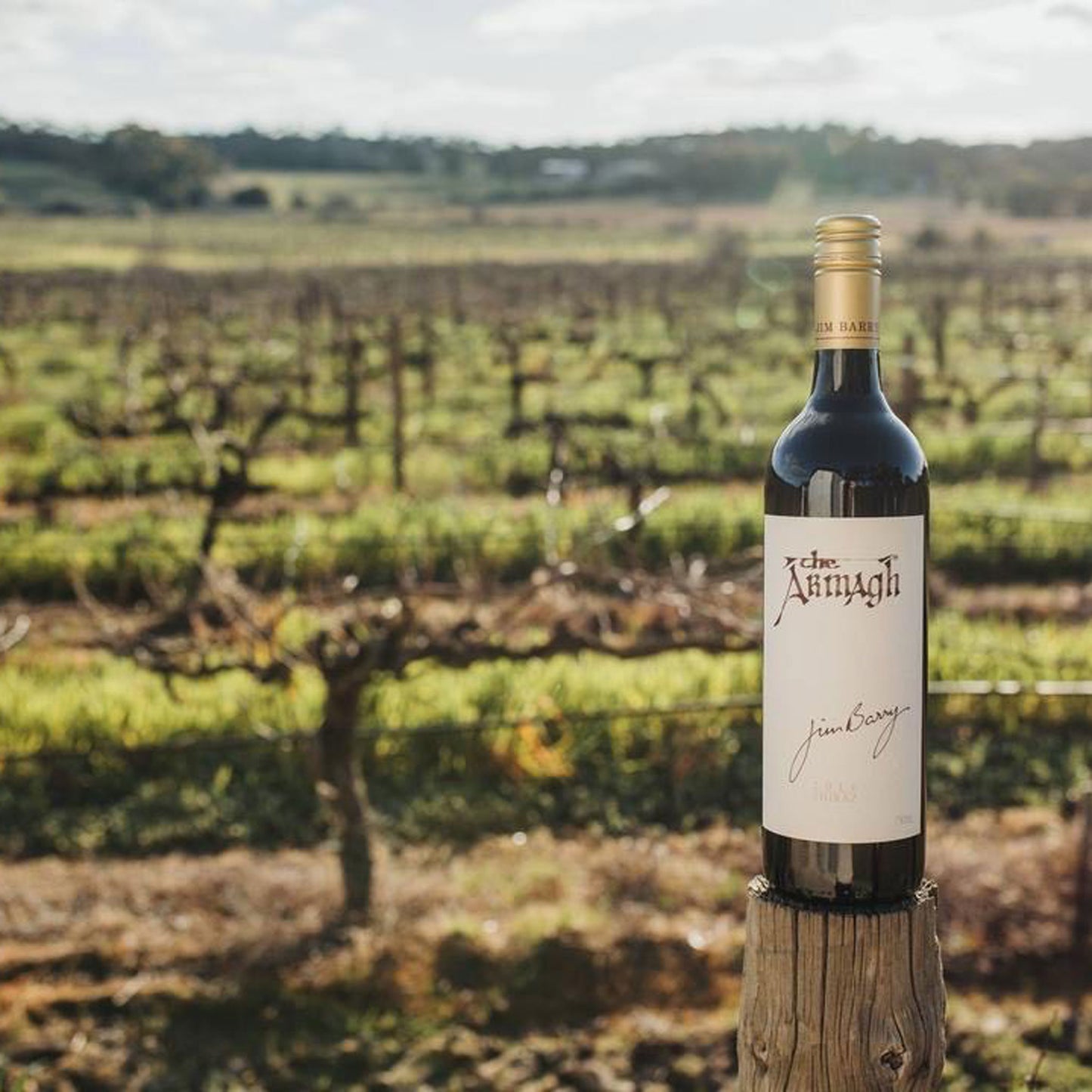 Jim Barry The Armagh Shiraz 2019
