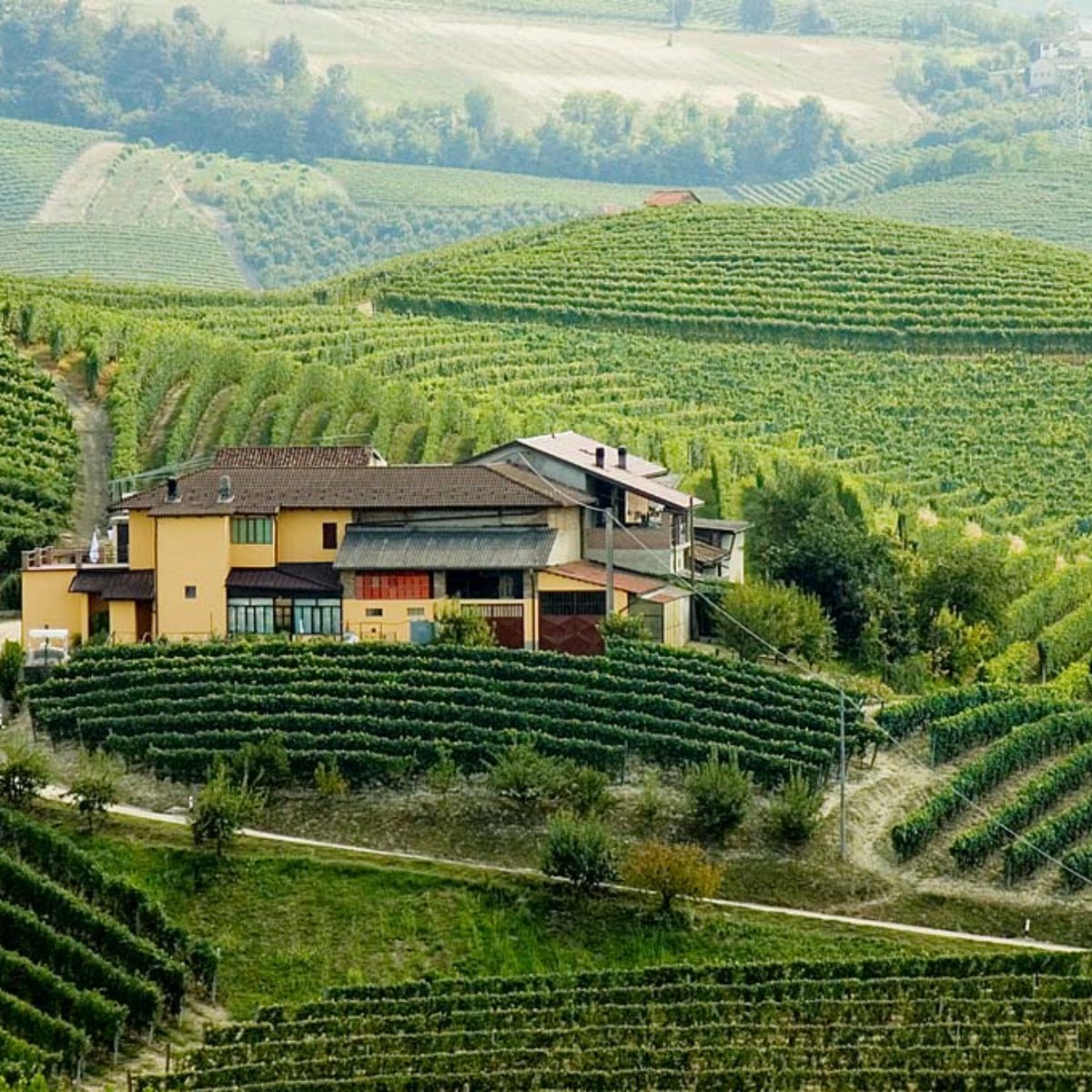 Pasquale Pelissero Anna Barbera D'Alba 2021