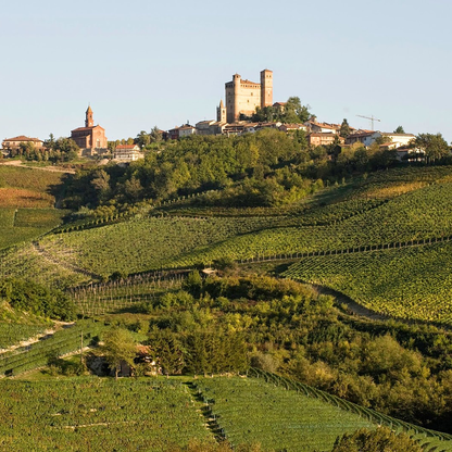 Vietti Barbaresco Roncaglie Masseria 2020