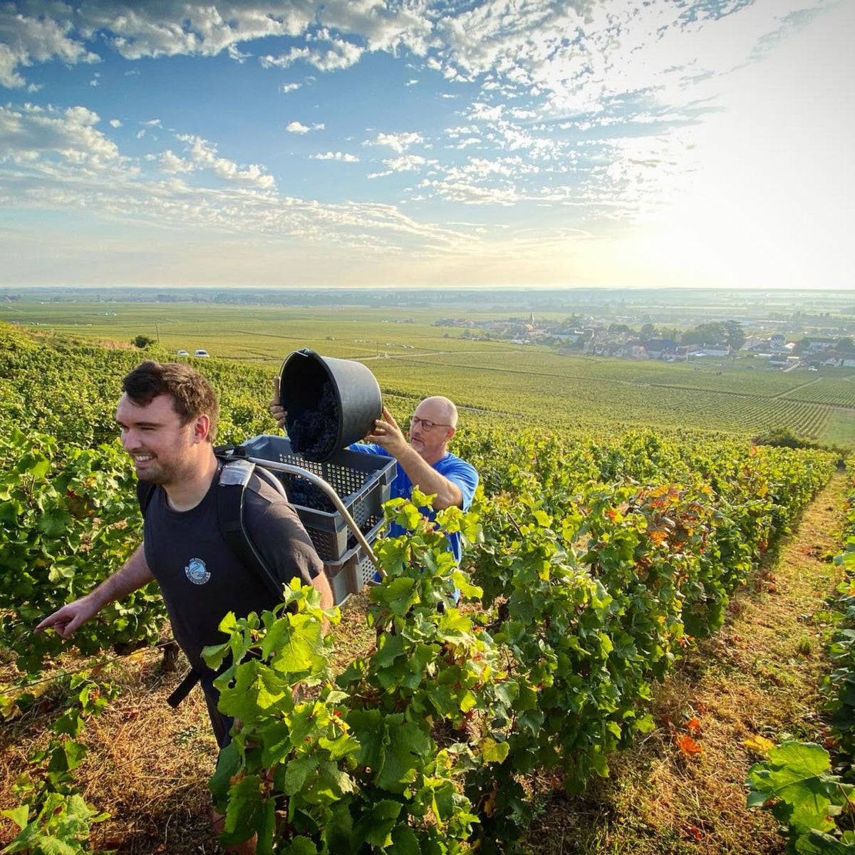Benjamin Leroux Meursault-Blagny 1er Cru La Pièce Sous Le Bois 2022