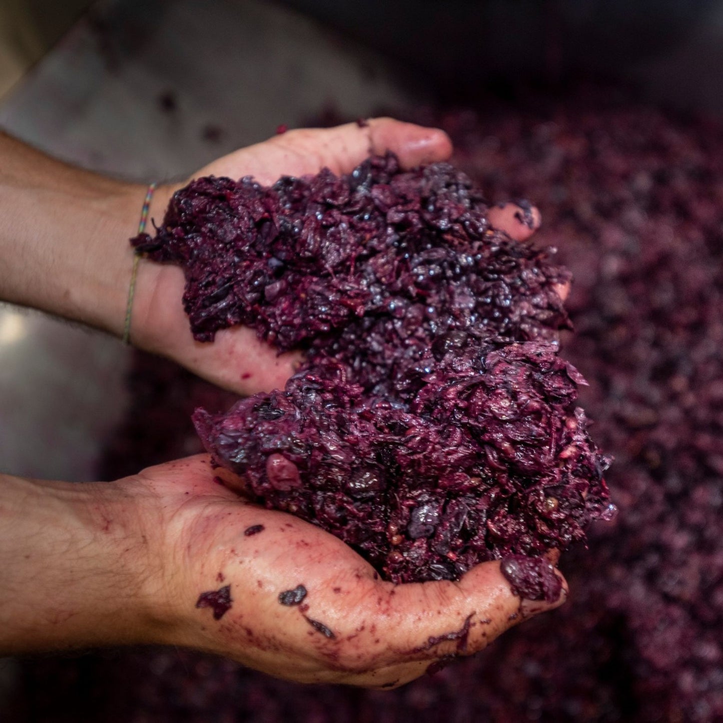 Massolino Barolo 2020