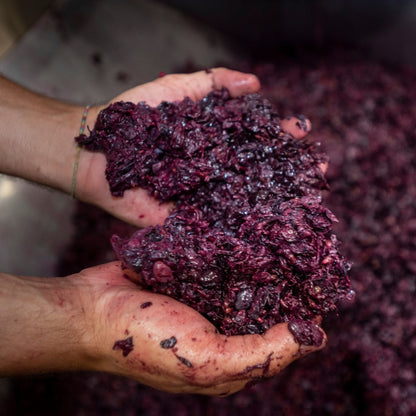 Massolino Barolo 2020