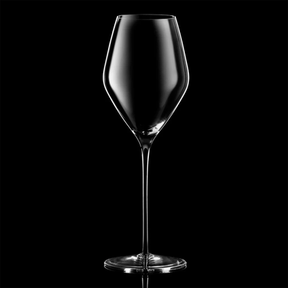Glasvin Champagne 2 Pack