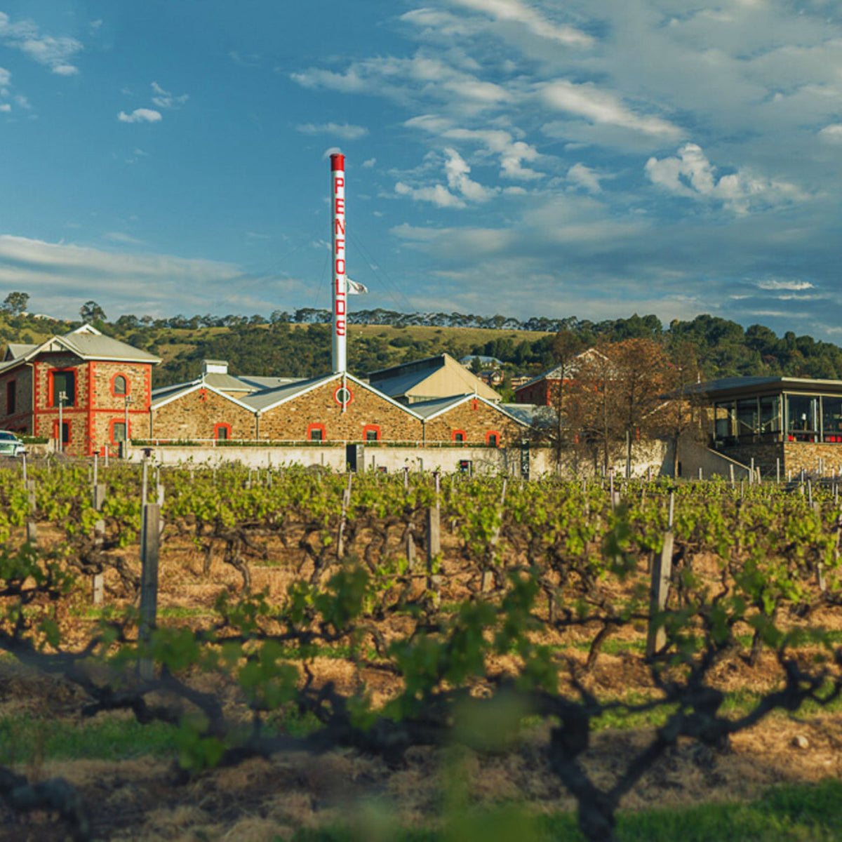Penfolds St. Henri Shiraz 2019