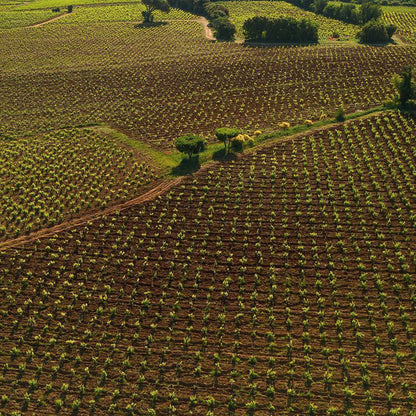 Domaine La Barroche Chateauneuf-du-Pape 2020