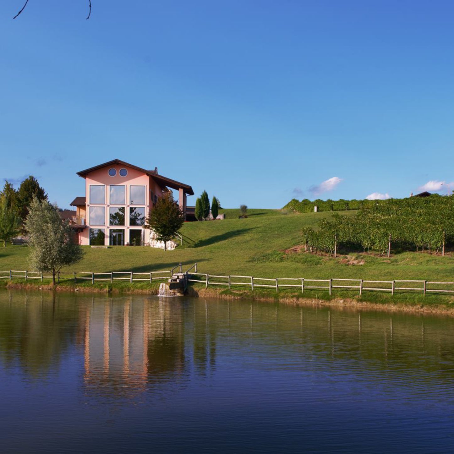 Cascina Ghercina Barbera d'Alba 2021