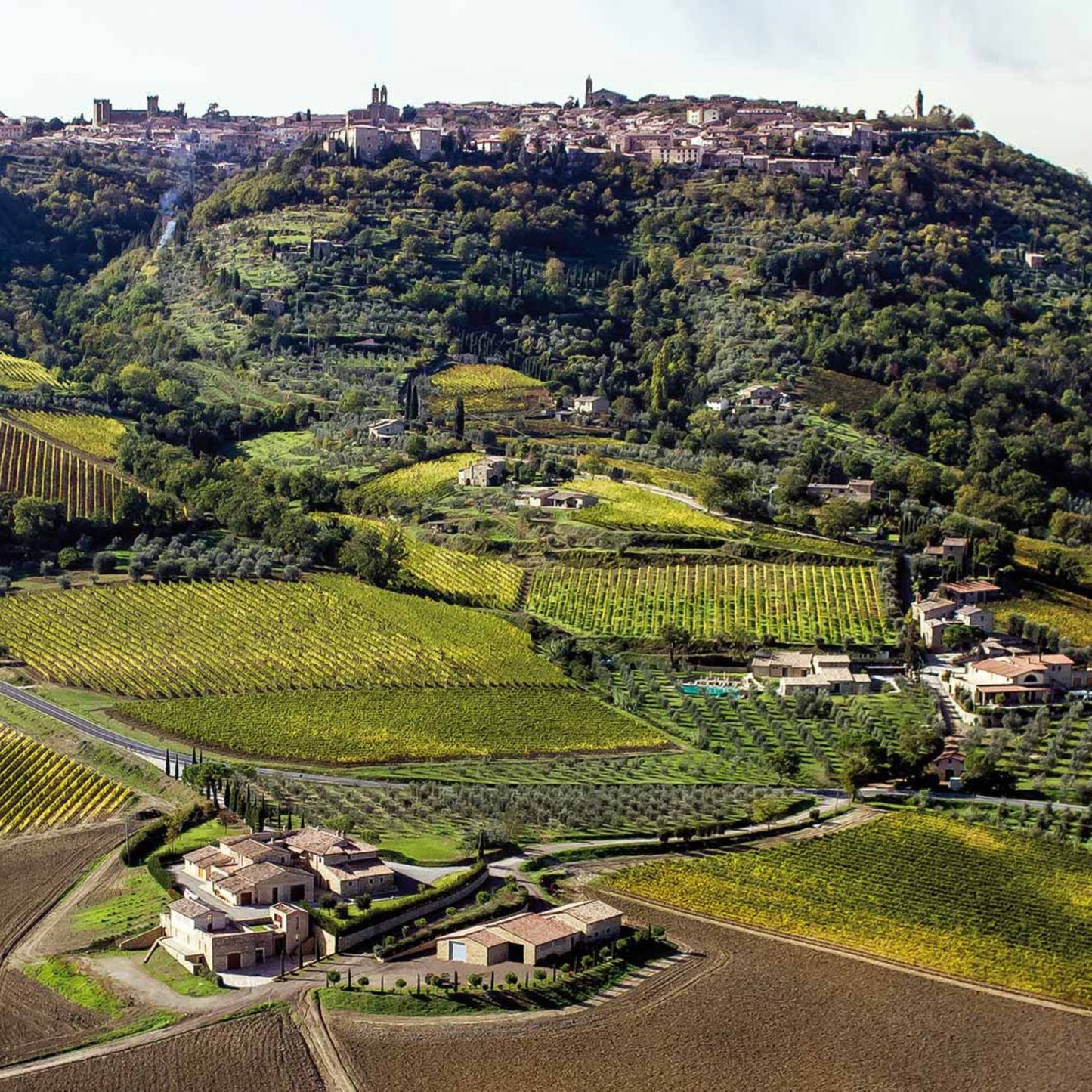 Canalicchio di Sopra Rosso di Montalcino 2022
