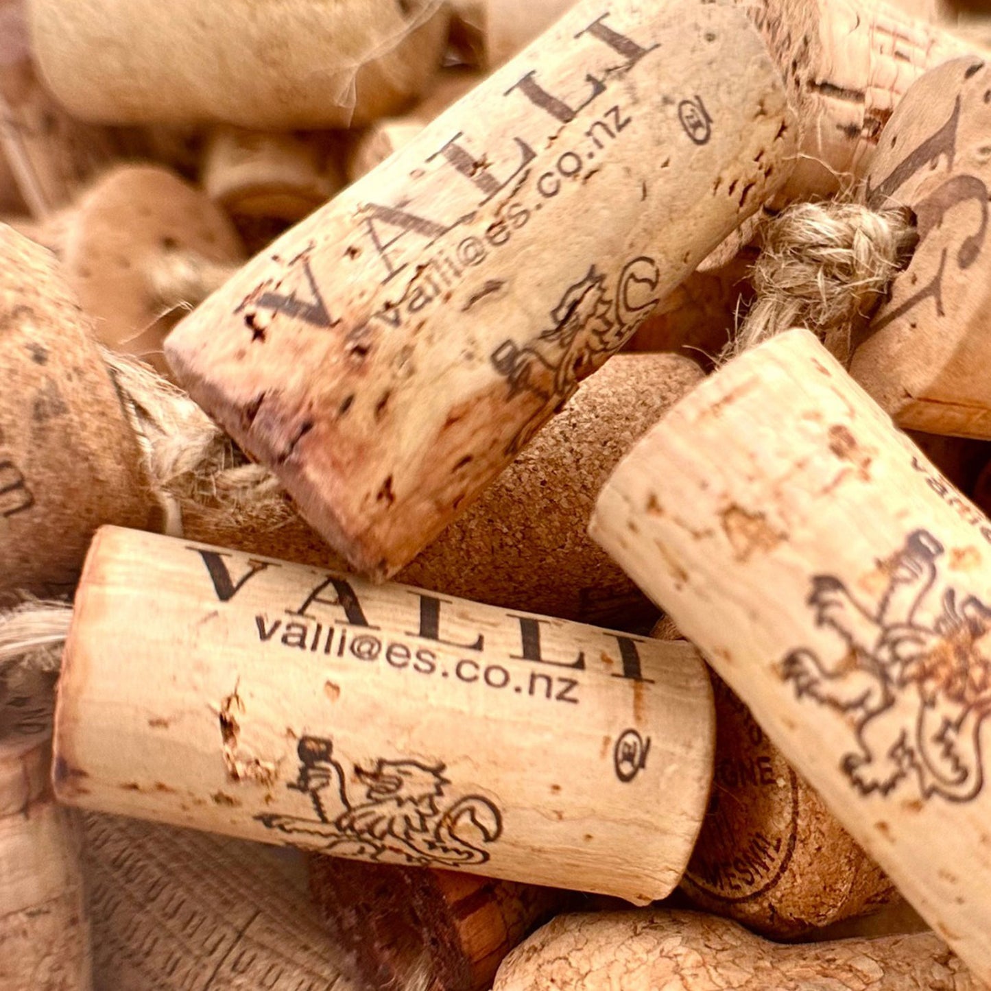 Valli Bannockburn Vineyard Pinot Noir 2022