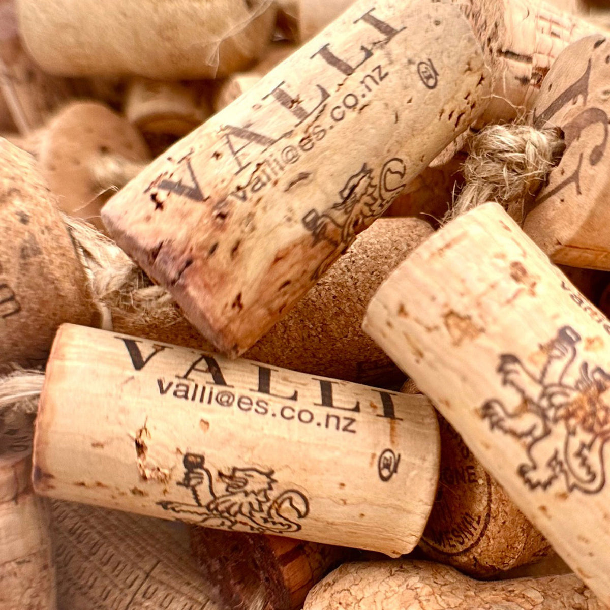 Valli Bannockburn Vineyard Pinot Noir 2022