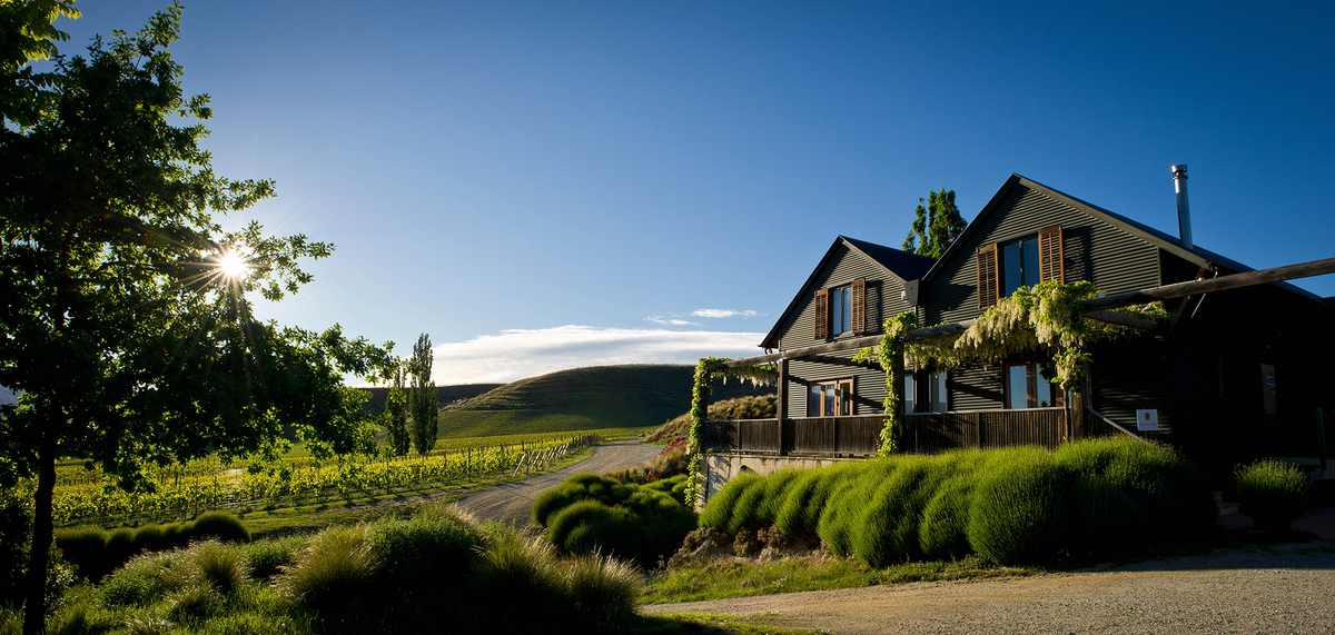 Felton Road Bannockburn Pinot Noir 2022