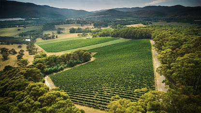 Giant Steps Applejack Vineyard Chardonnay 2021