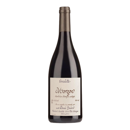 Daniel Bouland Morgon Corcelette 2023