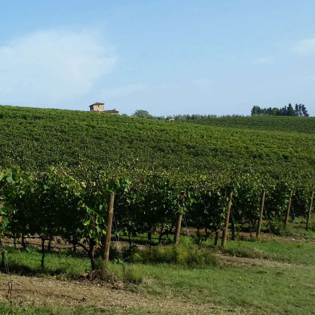 Babo Prosecco NV
