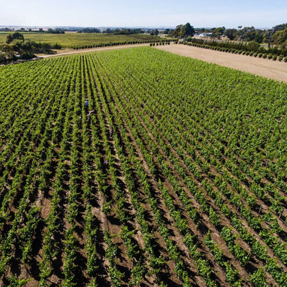 Bannockburn Shiraz 2020