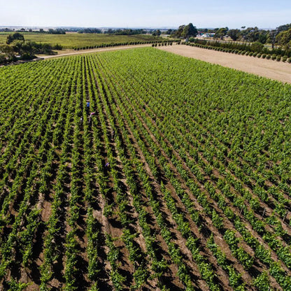 Bannockburn Riesling 2024