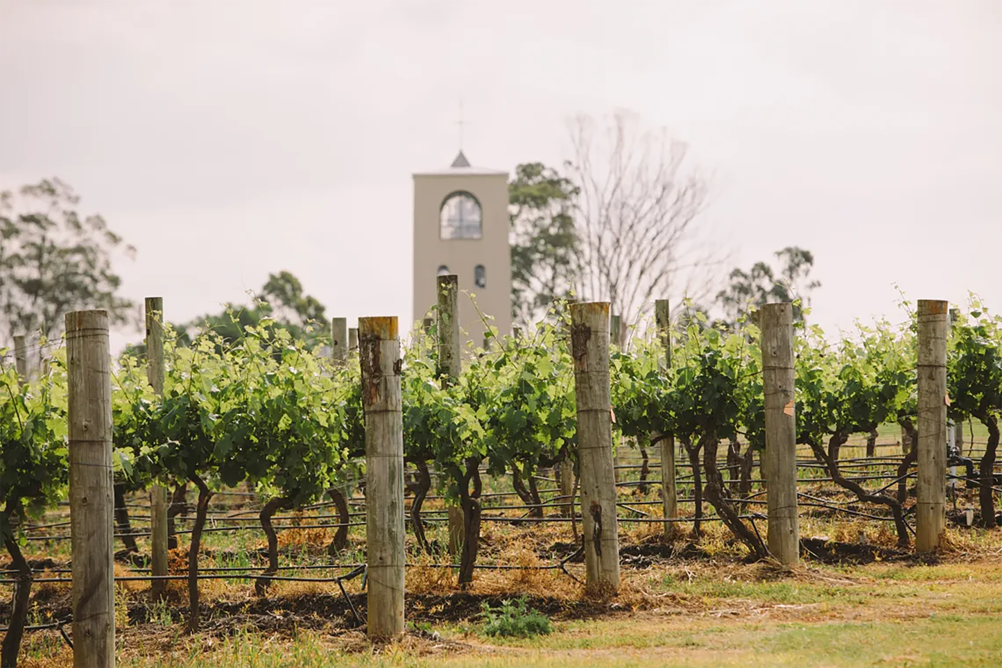 Bimbadgen Hunter Valley Semillon 2023