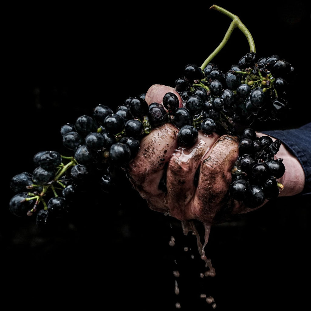 Brokenwood Graveyard Shiraz 2018
