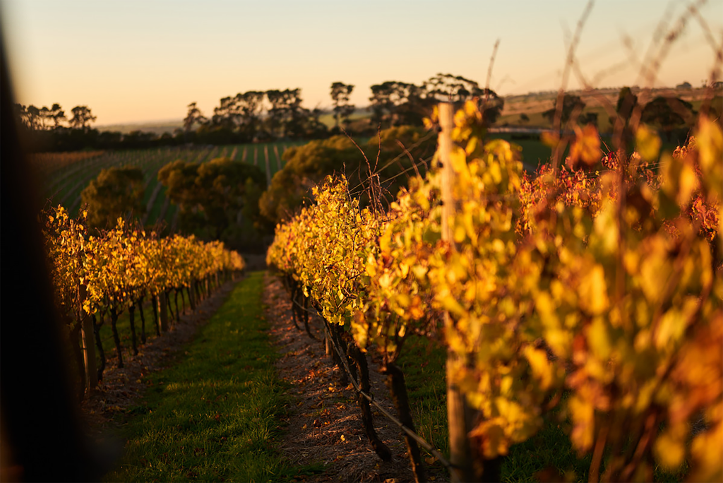 By Farr GC Cote Vineyard Chardonnay 2021