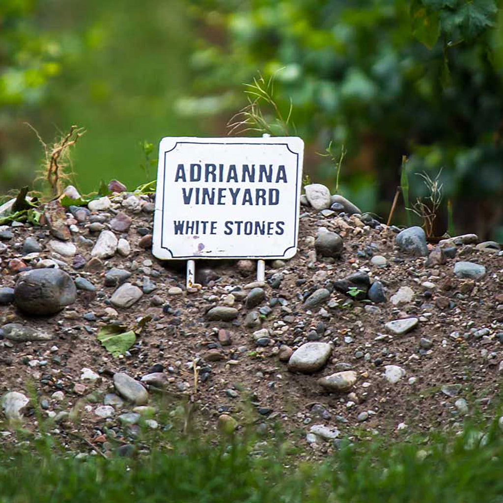 Catena Zapata Adrianna Vineyard White Stones Chardonnay 2021