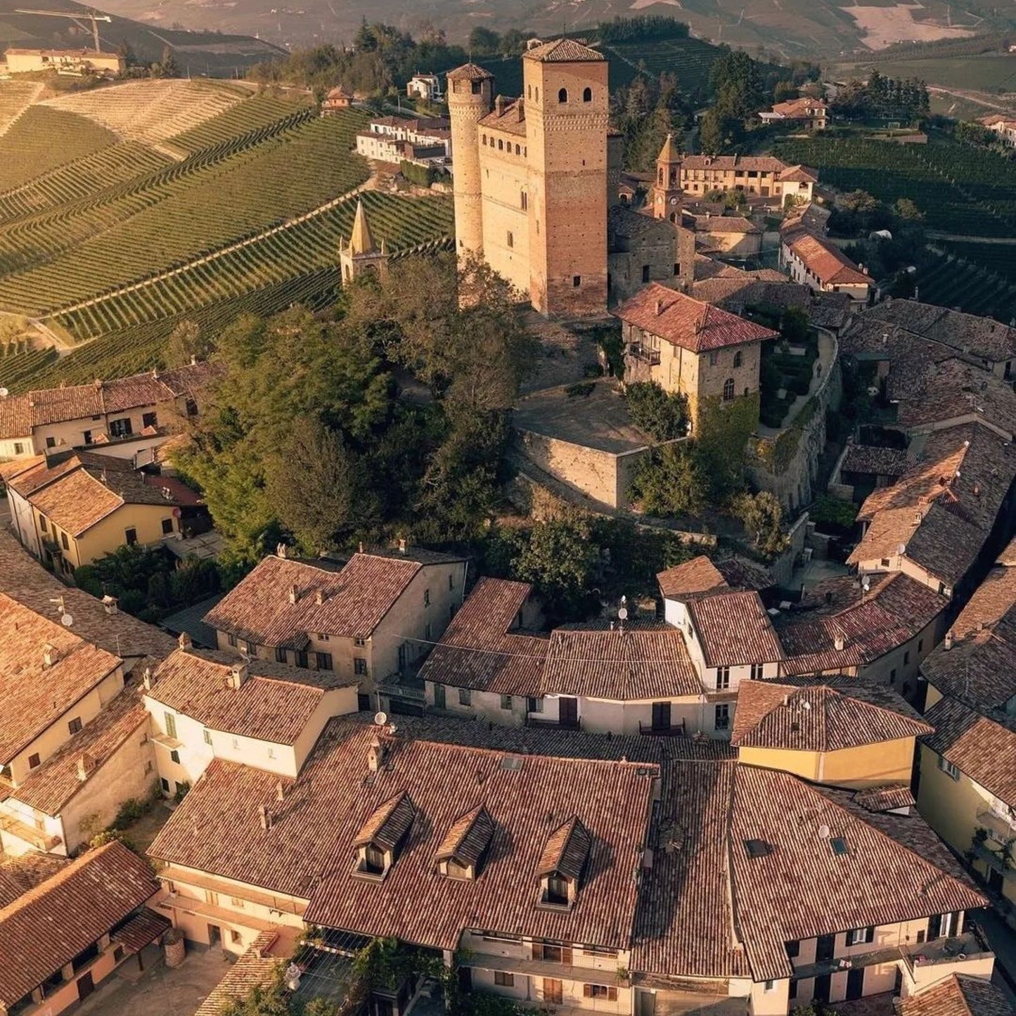 Massolino Barolo 2020
