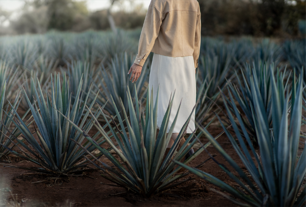 Clase Azul Tequila Plata 750ml
