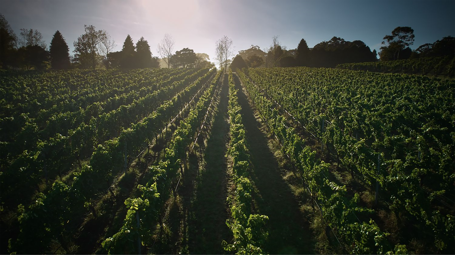 Giant Steps Fatal Shore Pinot Noir 2022