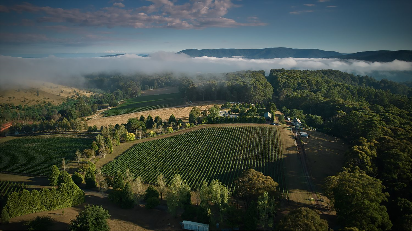 Giant Steps Fatal Shore Pinot Noir 2022