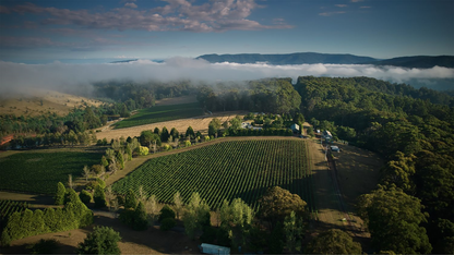 Giant Steps Fatal Shore Pinot Noir 2022
