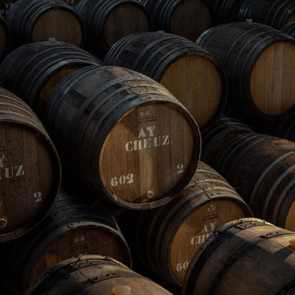 Bollinger La Grande Année 2015