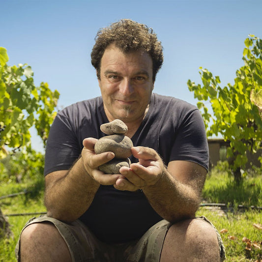 Catena Zapata Adrianna Vineyard White Stones Chardonnay 2020