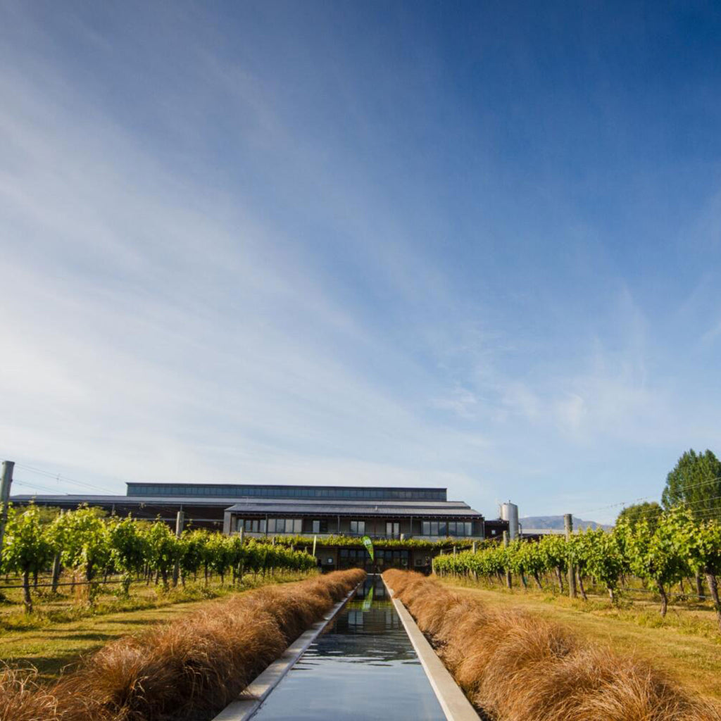 Villa Maria Keltern Chardonnay 2022