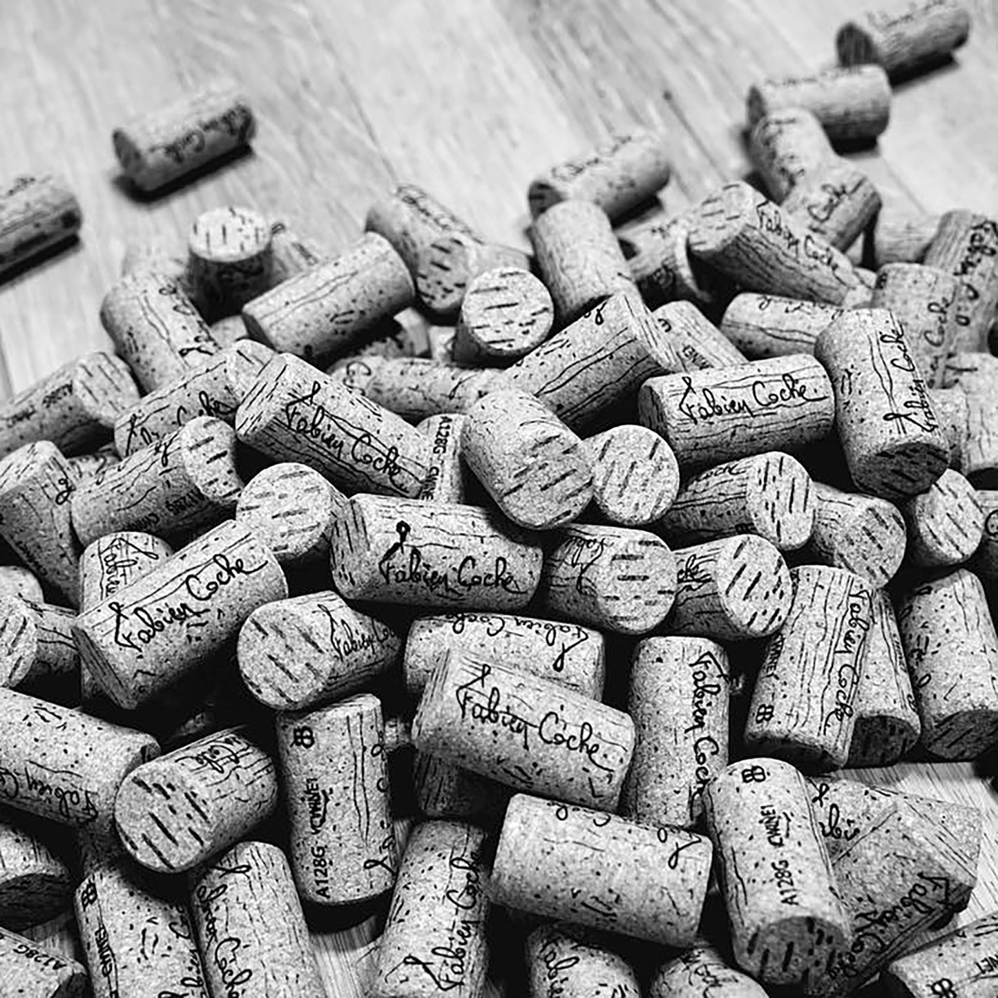 Domaine Fabien Coche Monthelie 1er Cru Les Barbières AOC 2022