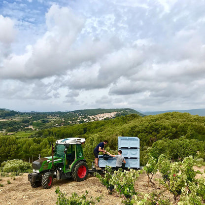 Domaine Tempier Bandol Lulu & Lucien Rouge 2021