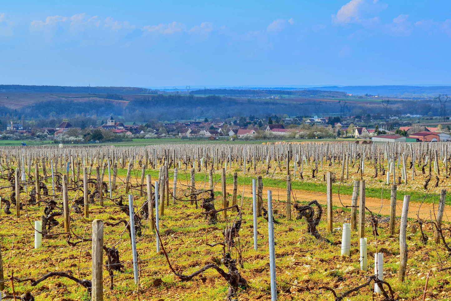 Domaine des Hâtes Pierrick Laroche Chablis 2021