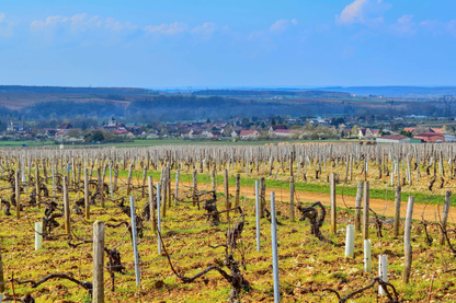 Domaine des Hâtes Pierrick Laroche Chablis 2021