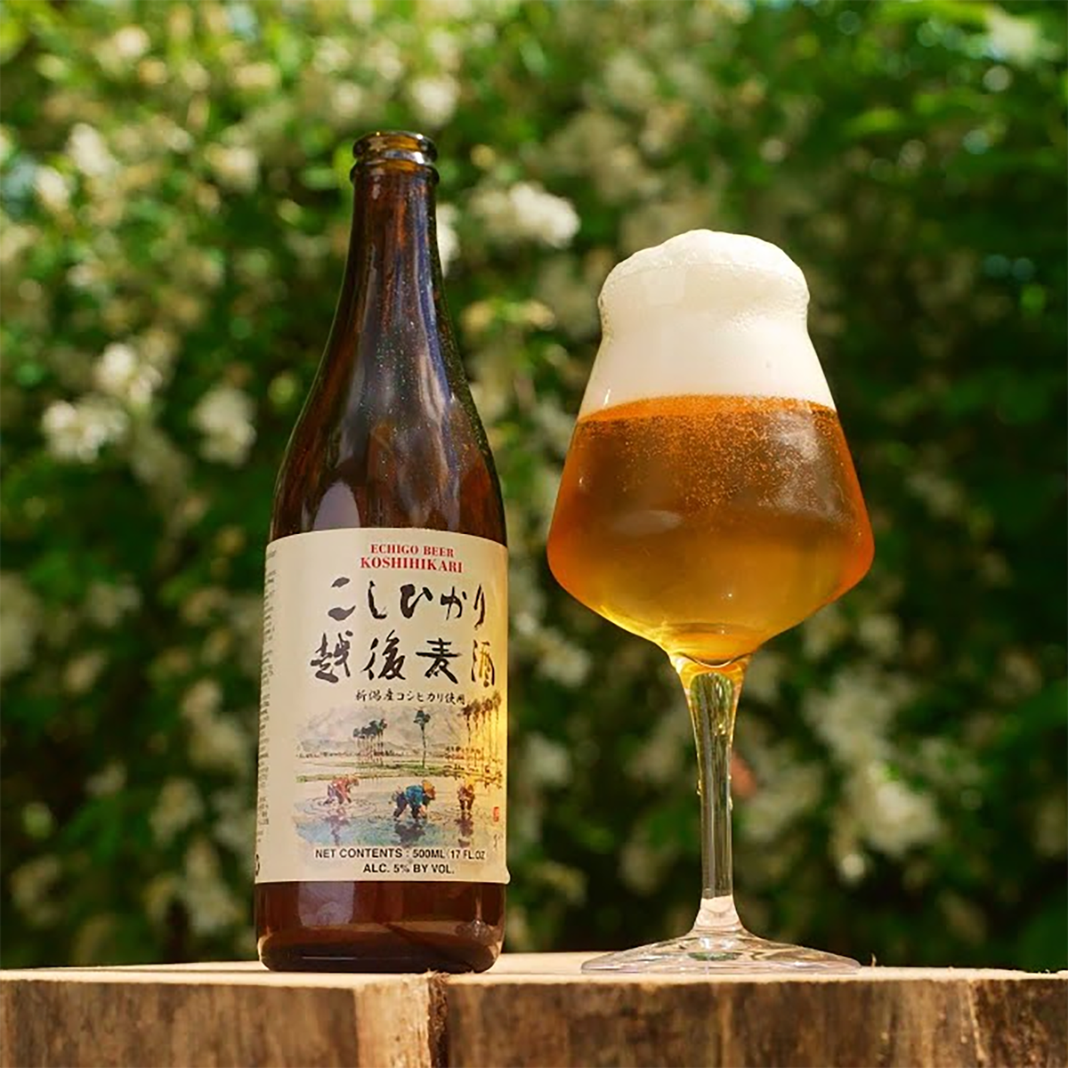 Echigo Koshihikari Rice Lager 500ml (Case)