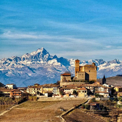 Massolino Barolo 2020