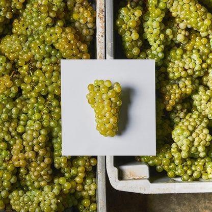 Domaine William Fevre Chablis Grand Cru Valmur 2022