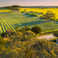 Henschke Julius Riesling 2023