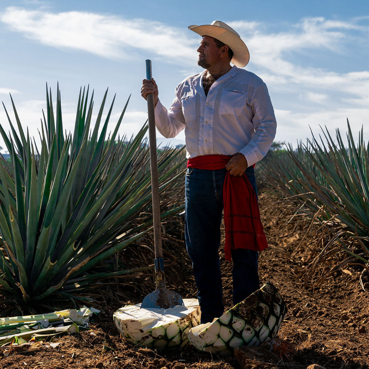 Maestro Dobel Diamante Cristalino Reposado Tequila 700ml