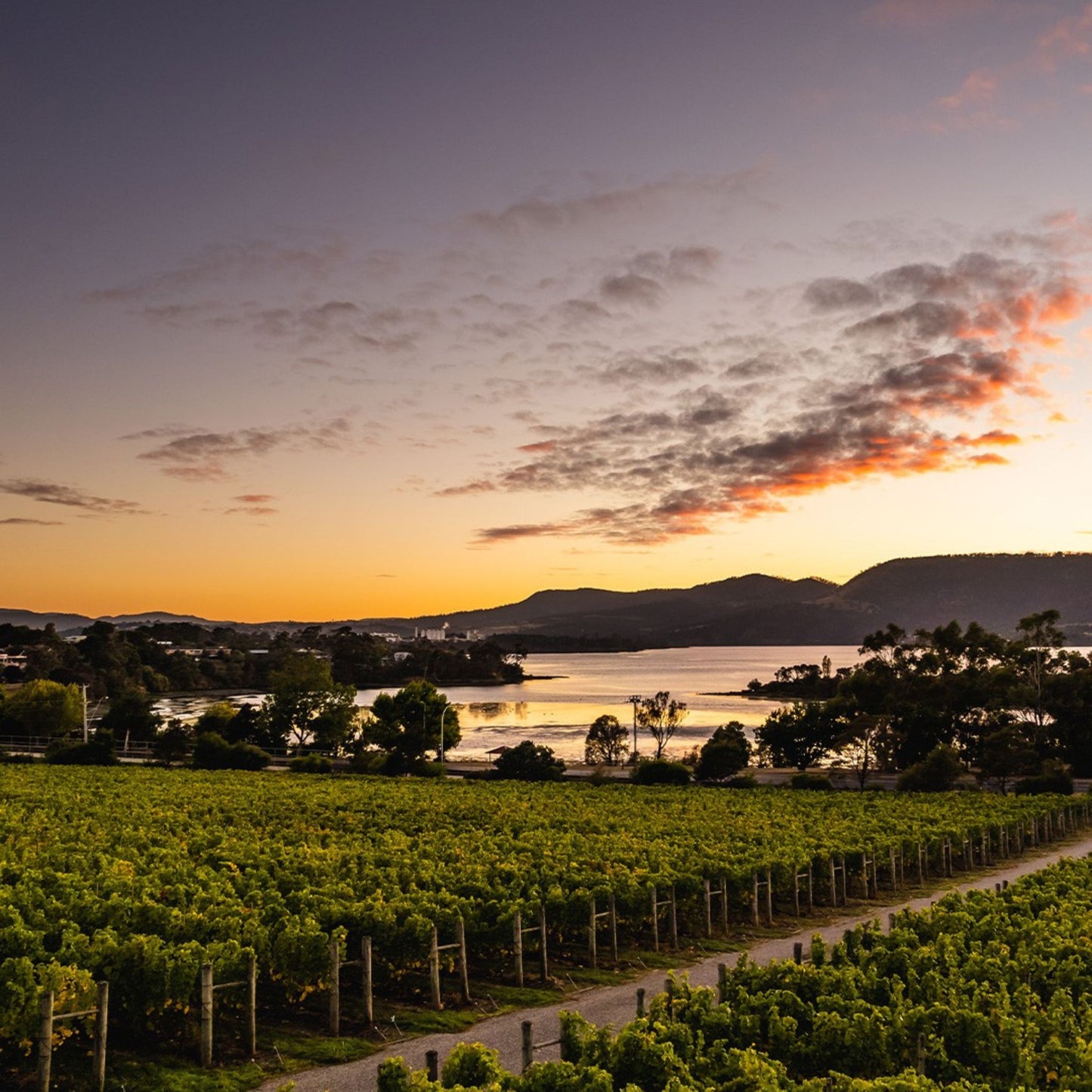 Lowestoft Estate Chardonnay 2021