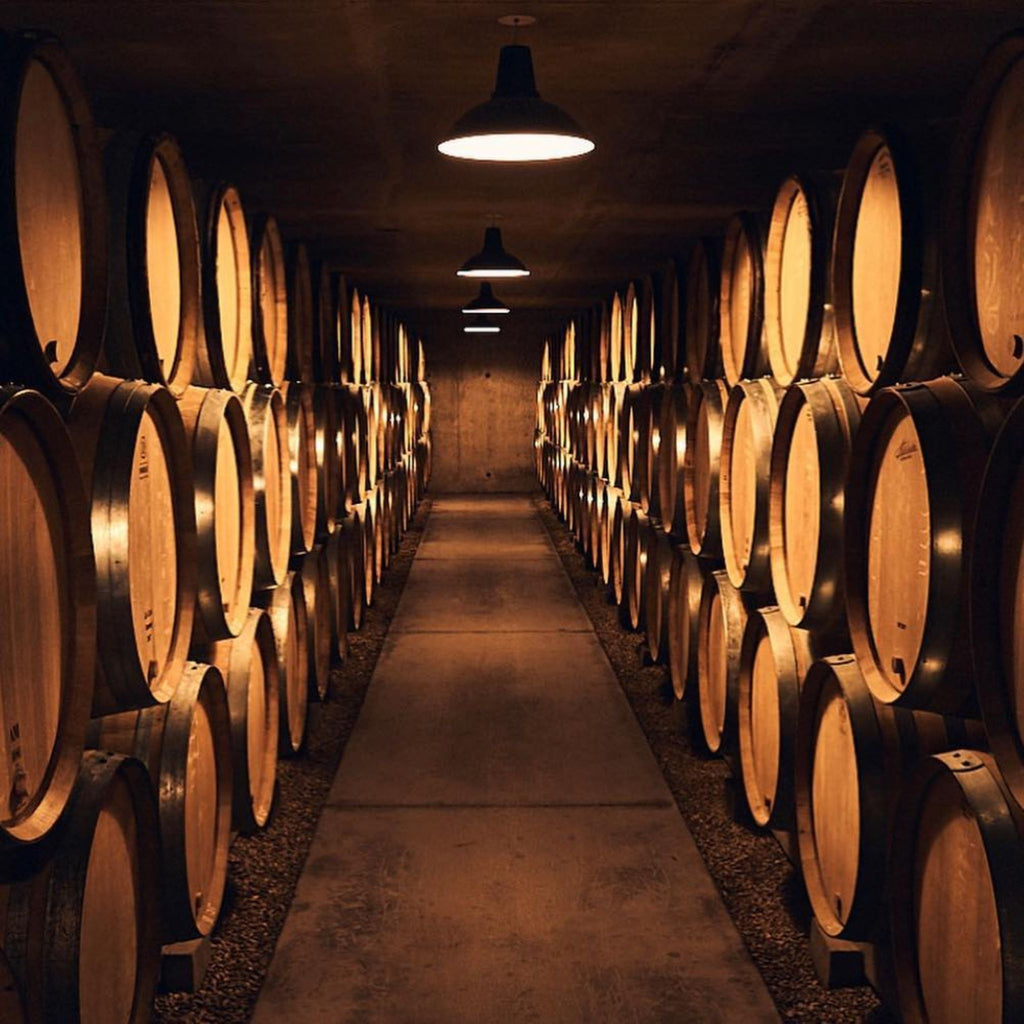 Pierre-Yves Colin-Morey Bourgogne Rose de Pinot 2023