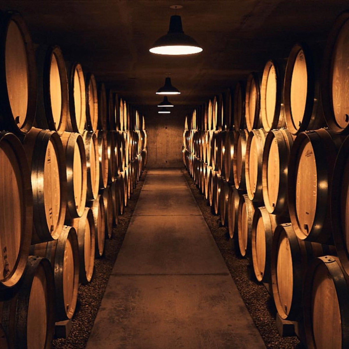 Pierre-Yves Colin-Morey Bourgogne Rose de Pinot 2023