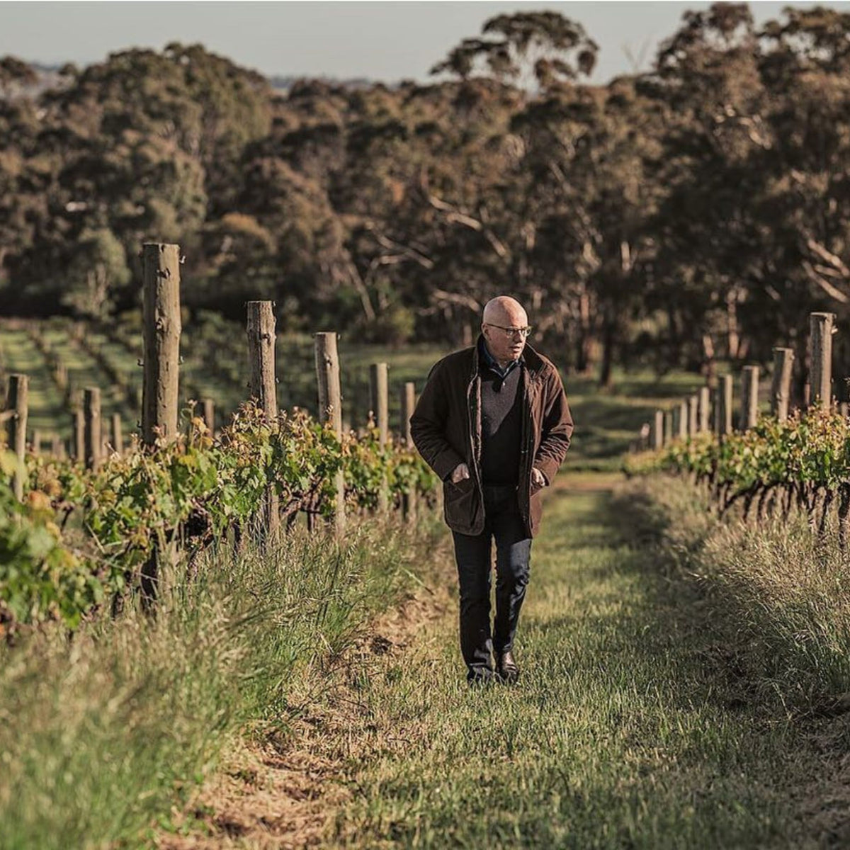Grosset Polish Hill Riesling 2024